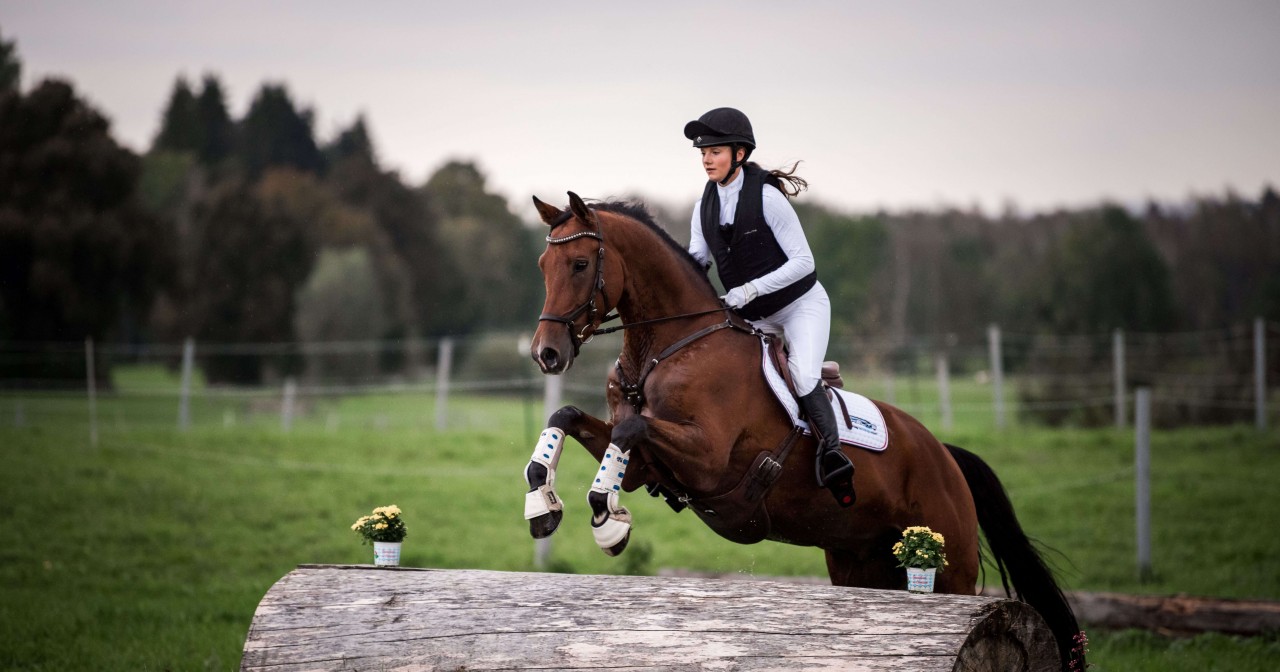 Mädchen springt mit Pferd über ein Hindernis