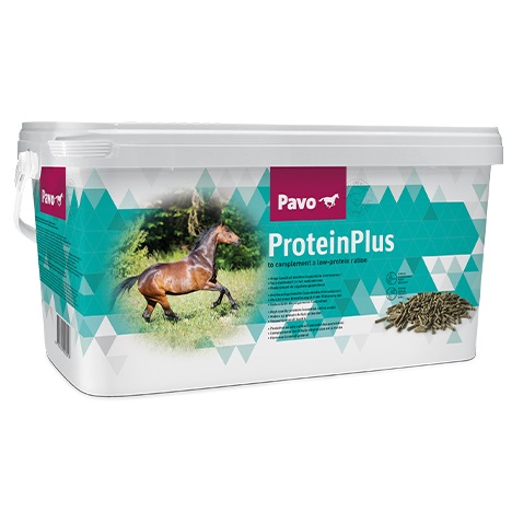 PAVO Protein Plus