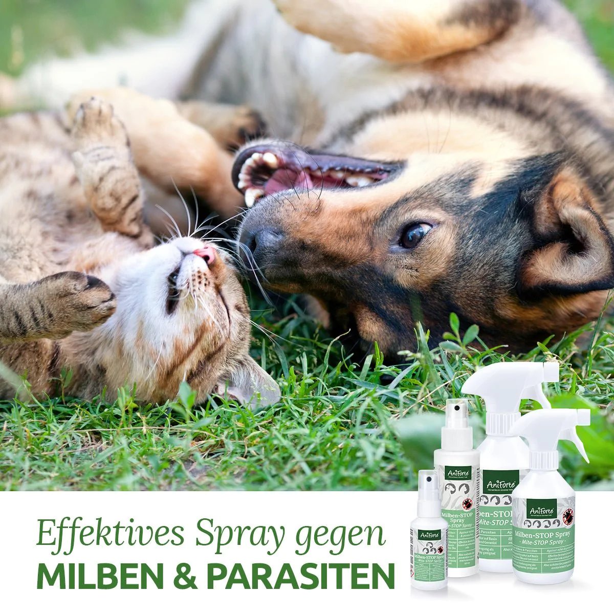 AniForte® Milben-STOP Spray
