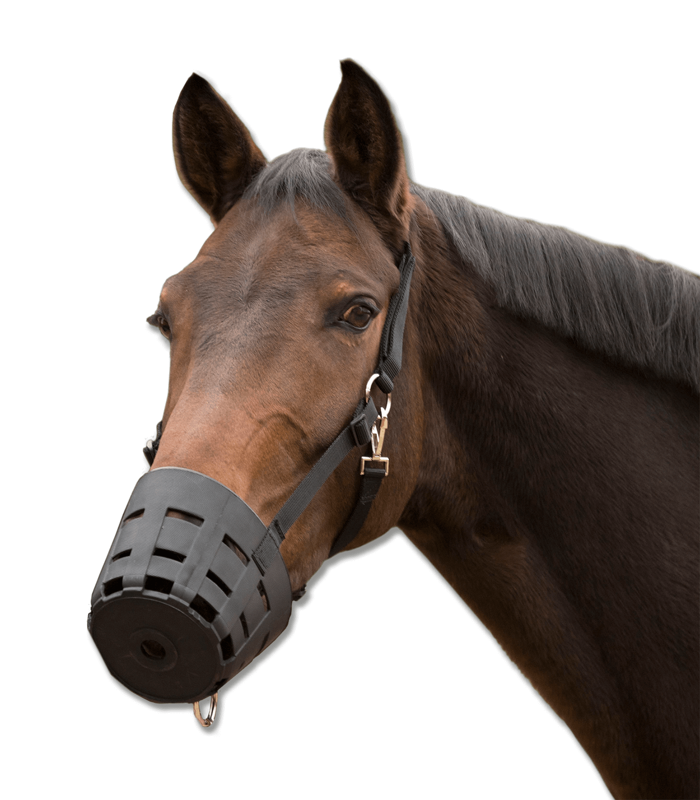 Waldhausen TPU-Maulkorb Easyclean Pony