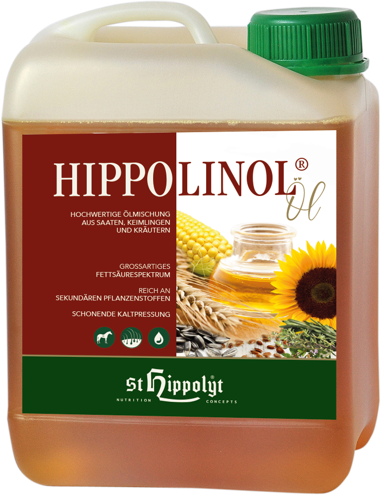 St Hippolyt Hippo Linol